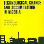 Capital Goods, Technological Change and Accumulation in Nigeria HC (Printed)