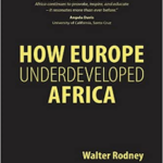 How Europe Underdeveloped Africa