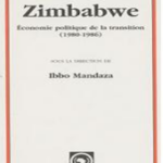 Zimbabwe : Économie politique de la transition