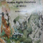Monitoring And Documenting Human Rights Violations in Africa (Printed)