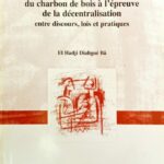 La réglementation de la filière du charbon de bois à l'épreuve de la décentralisation: entre discours, lois et pratiques (Printed)